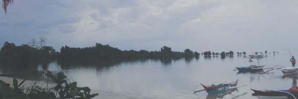 wanderrrrkat Profile Banner