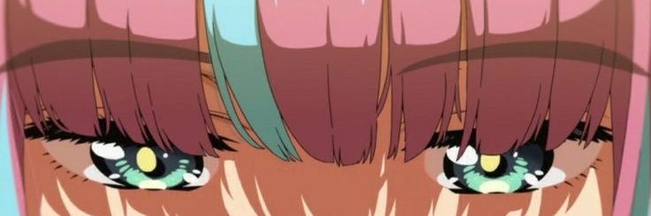 Soffi56 banner