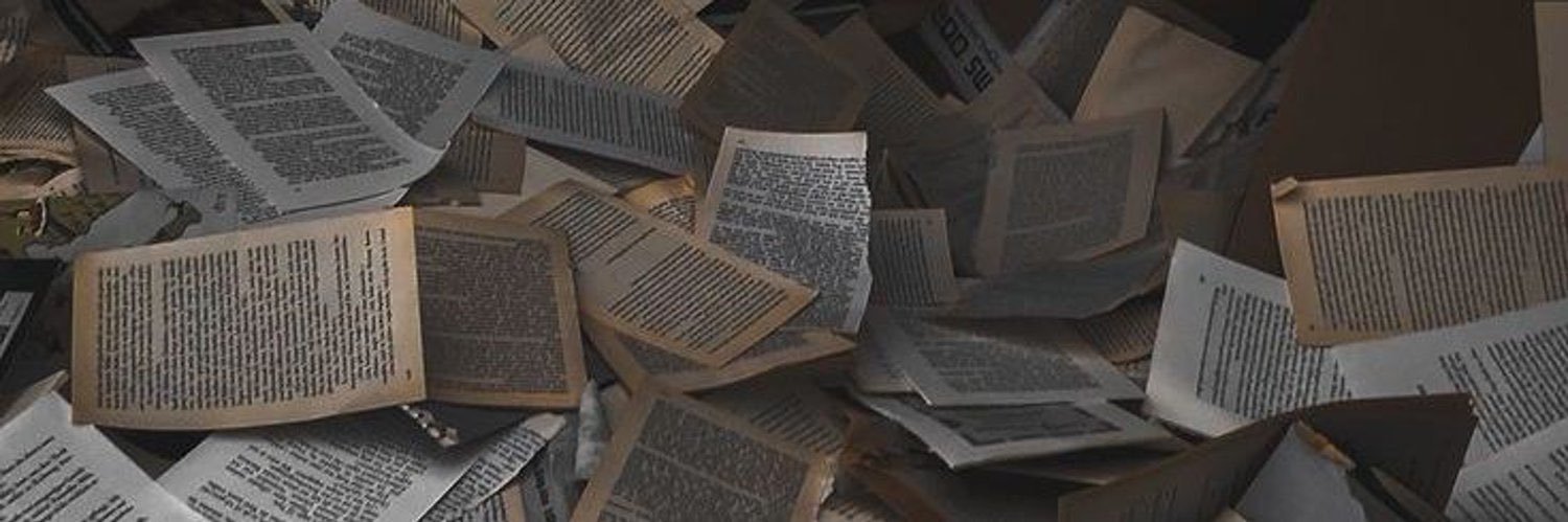 𝜗𝜚˚⋆ banner