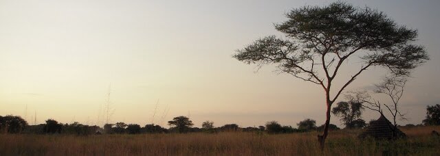 circusmaguirk's profile banner image
