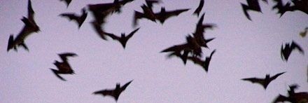 PabloCatt's profile banner image