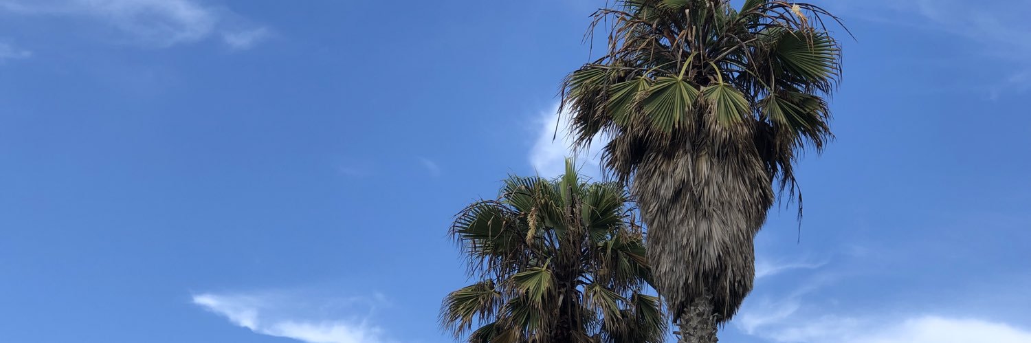 OzielFontecha's profile banner image