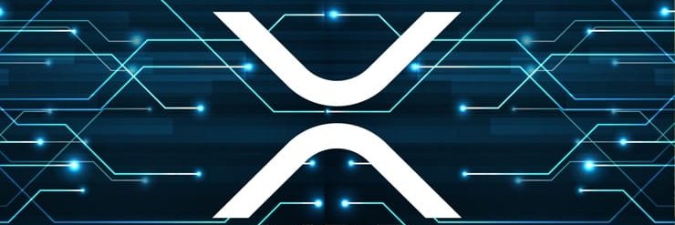 XRPBOOWY's profile banner image