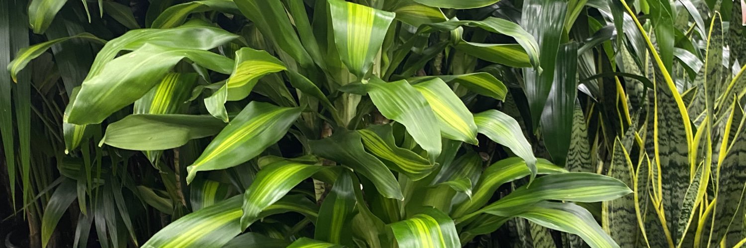 caseygardnerr's profile banner image