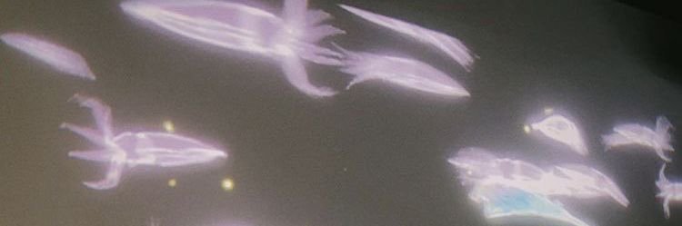 juniormarknarak's profile banner image