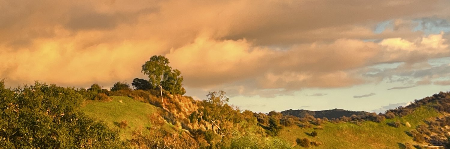 MichaelLDHP's profile banner image