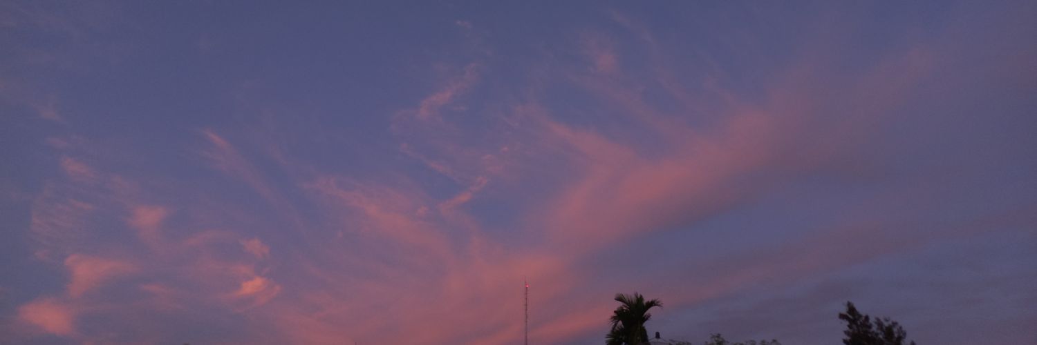 白龙 banner