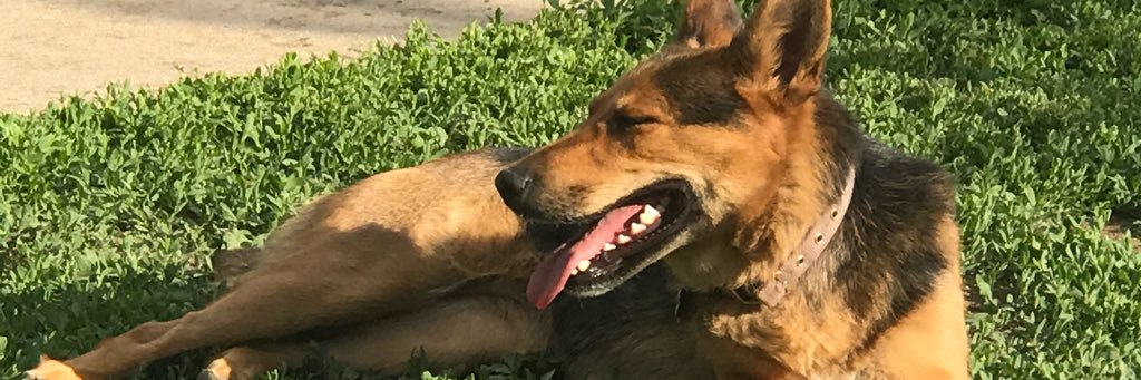 Jesus_TheGod's profile banner image