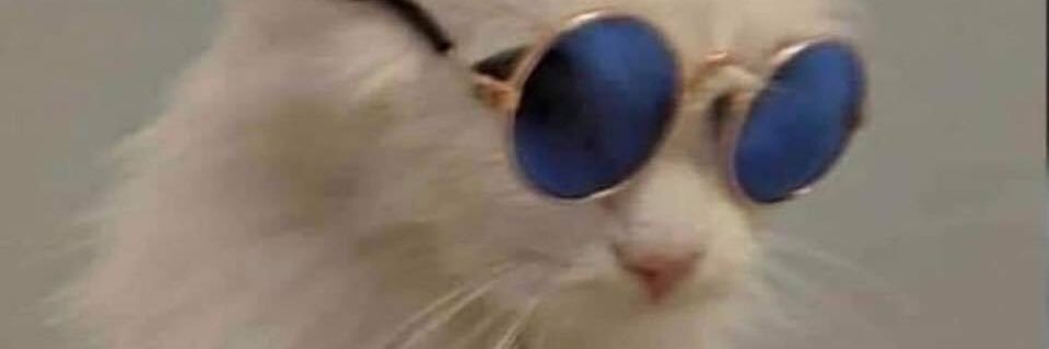 powerdude114's profile banner image