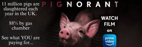 _QuornHub_ Profile Banner