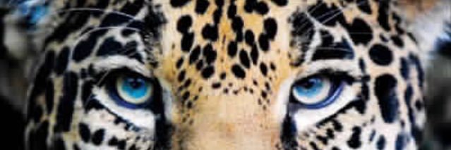 KevinMartin2432's profile banner image