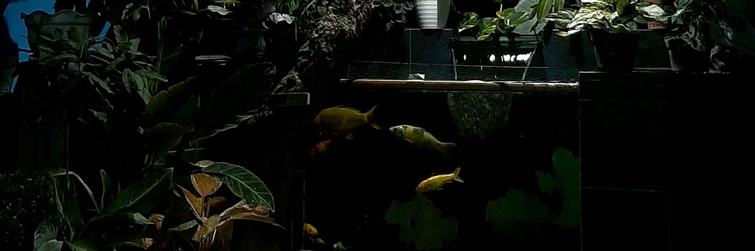 nrdyn___'s profile banner image