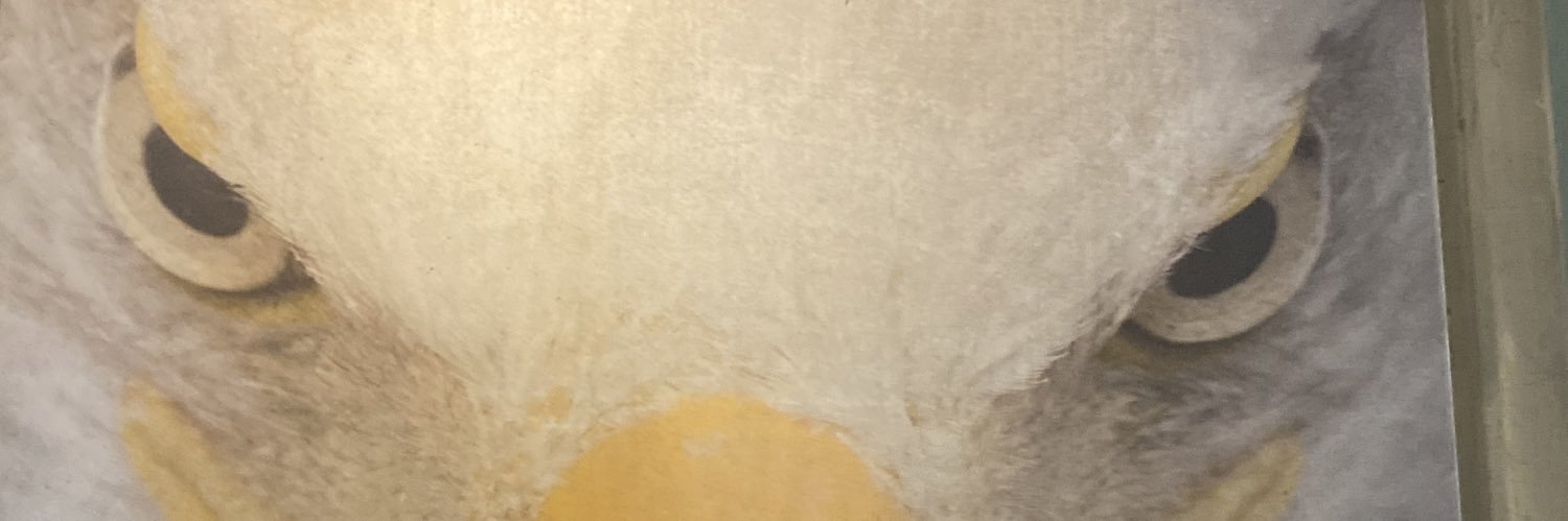 HallmanMr's profile banner image