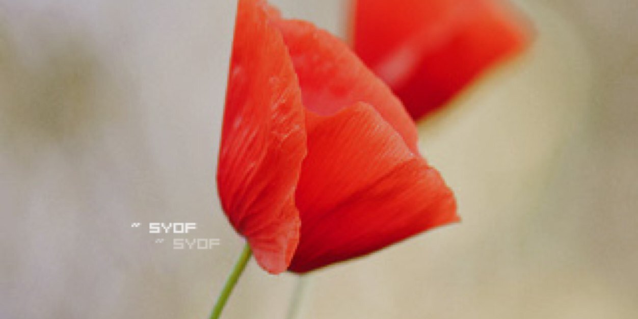 bar7yat's profile banner image