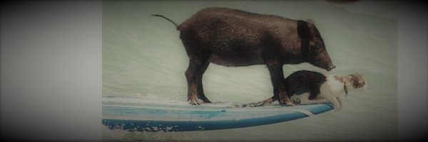 lmoguera74 Profile Banner