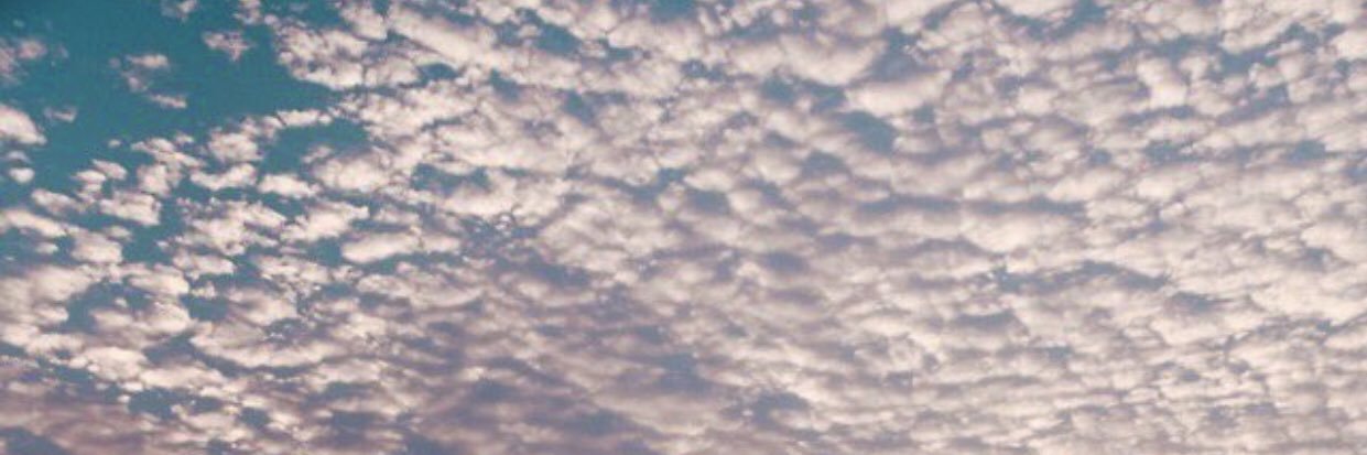 meemy_265's profile banner image