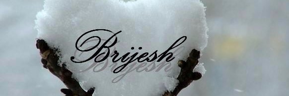 SAVLABRIJESH's profile banner image