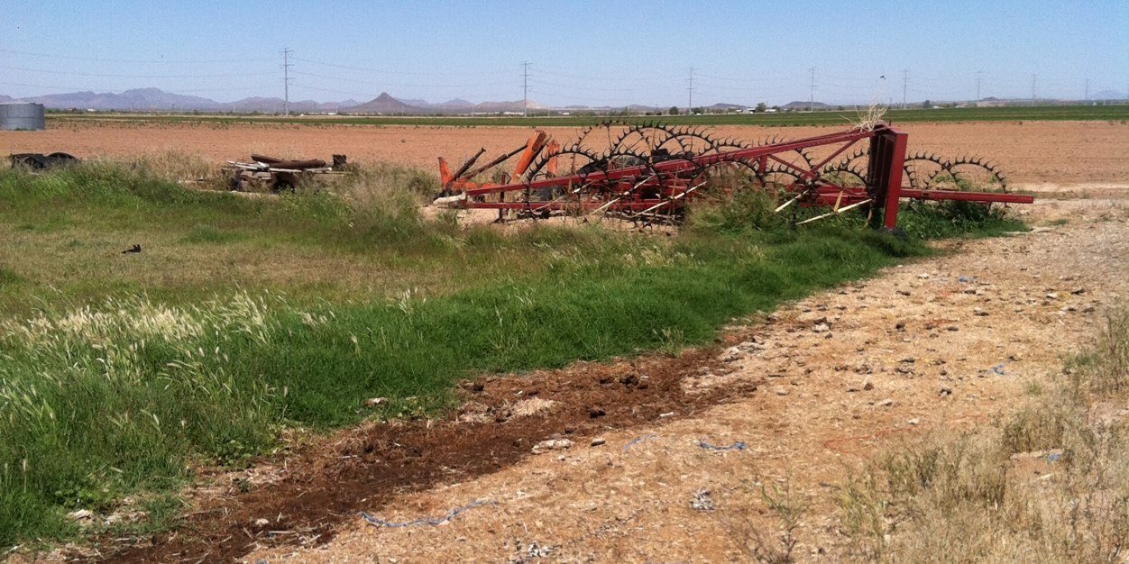 Az_FarmGirl's profile banner image