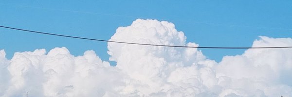 mo_mo_momokun Profile Banner