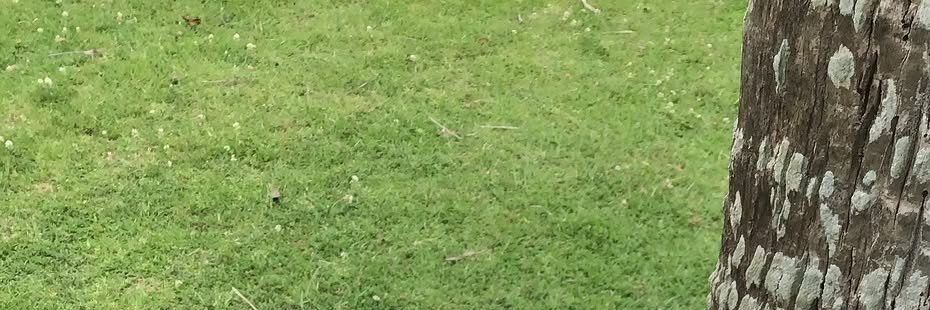 pithagooras's profile banner image