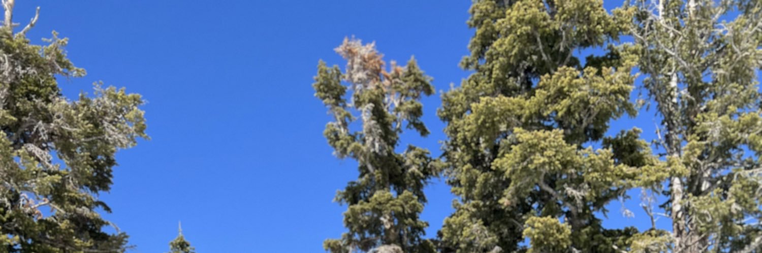 MateCastroRuiz's profile banner image
