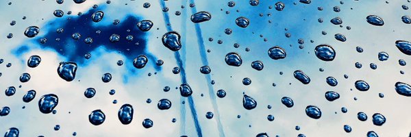 champanini0x Profile Banner