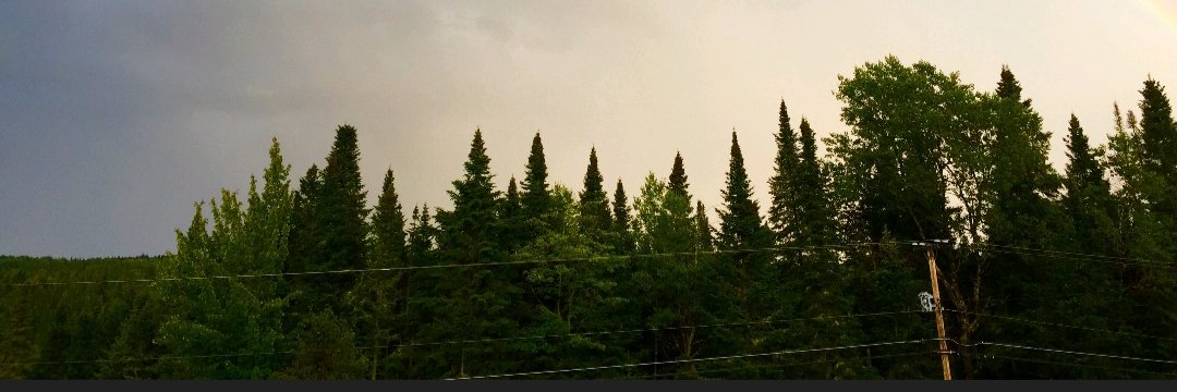 SaltyNHginger's profile banner image