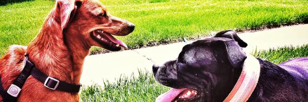 Kbasham18Basham Profile Banner