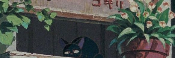 ynhssyy's profile banner image
