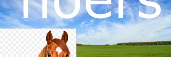 StynkyJoeReborn Profile Banner