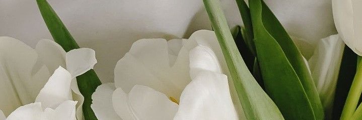 CatherineChingg's profile banner image