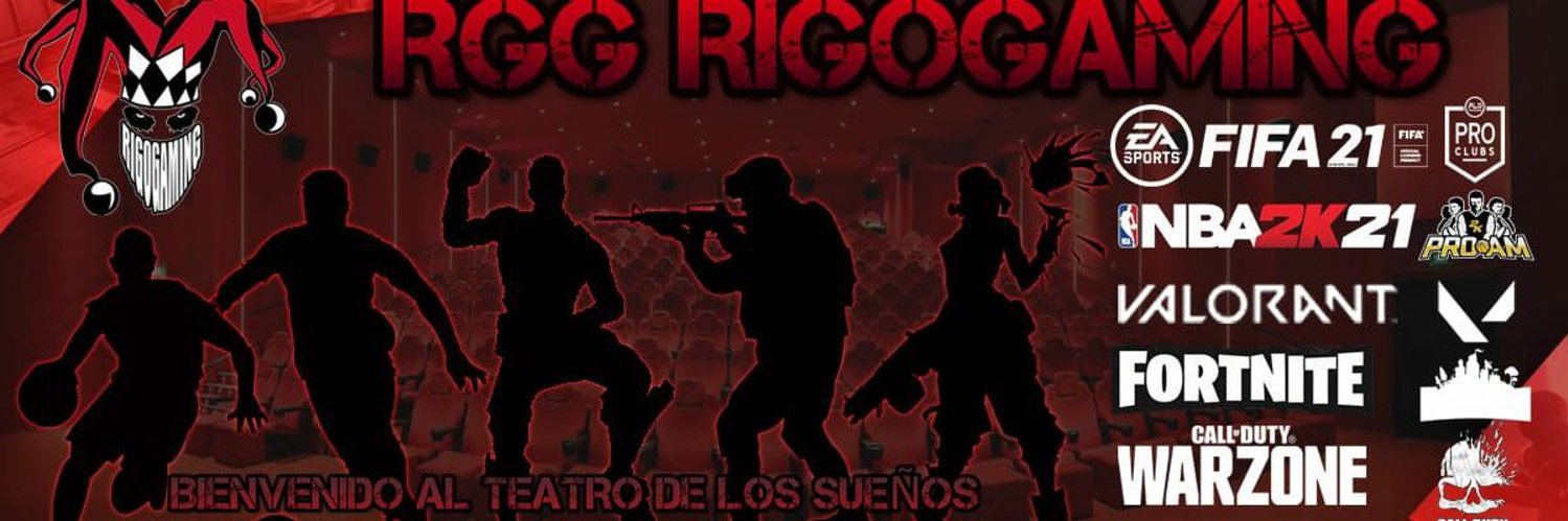 RIGOGAMING banner