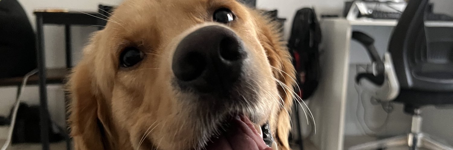 grisito_'s profile banner image