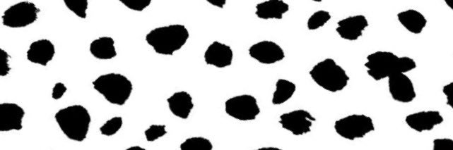 LittttleA's profile banner image