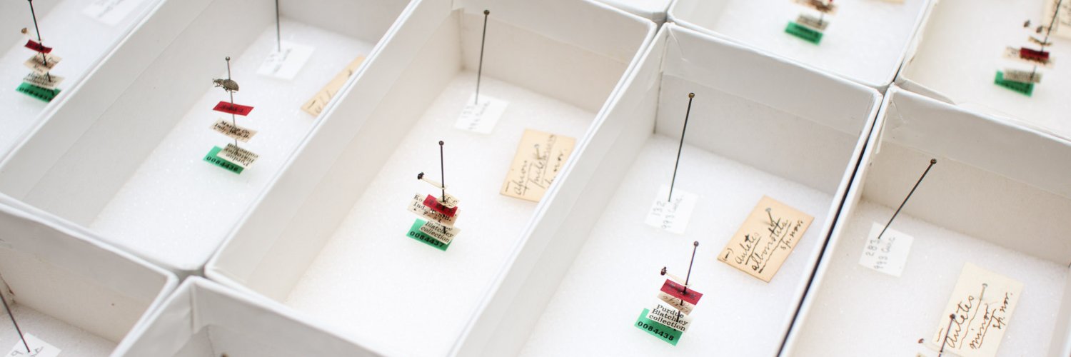 Purdue Entomological Research Collection (PERC) banner