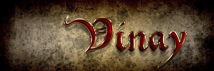 vinay banner