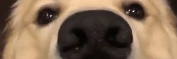 GuardsJoey Profile Banner