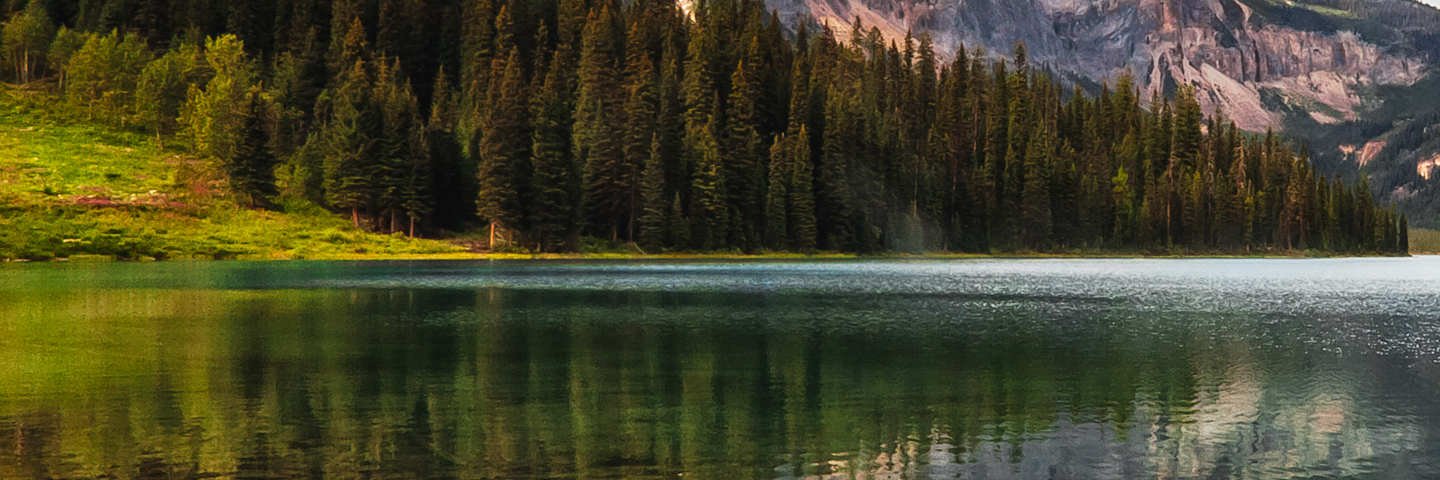 alpkrglalp's profile banner image