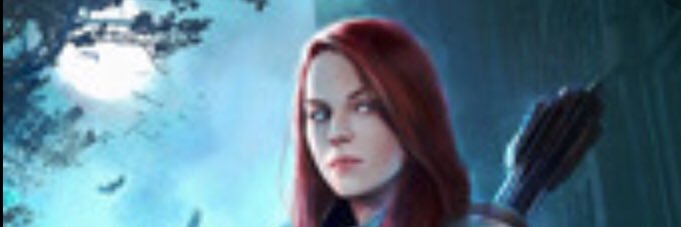WildRed banner