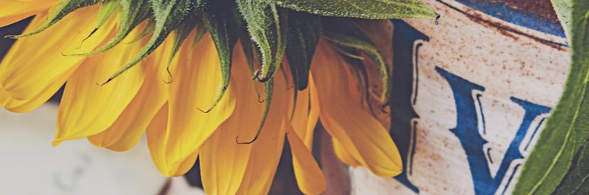 SlmzKbr's profile banner image