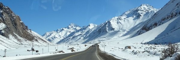 Bonigallinarec1 Profile Banner