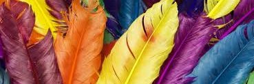 Nancy Power banner