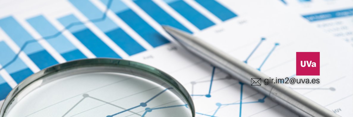 Inteligencia de Mercado y Marketing UVa banner