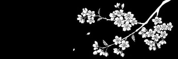 ay🪷 banner