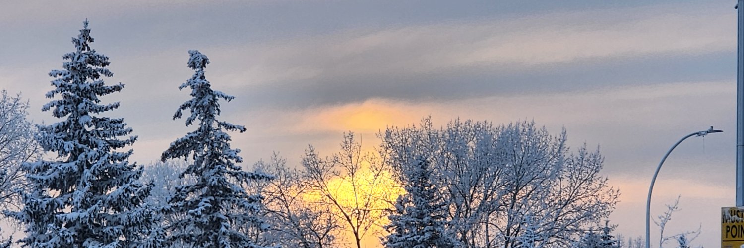 Reality Cat 22 🇨🇦 banner