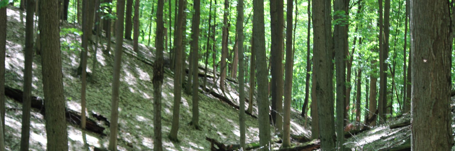 wolscher's profile banner image