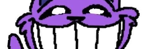 FoxiZnow 🦊🇧🇷 banner