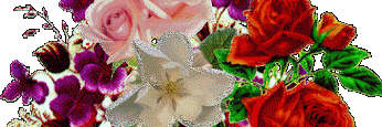 NADUM2's profile banner image