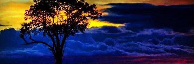 marcelo5544's profile banner image