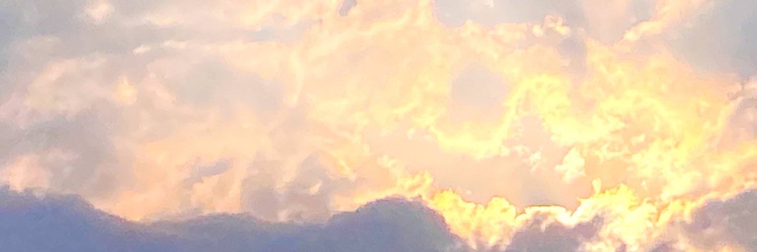 ELangillier's profile banner image